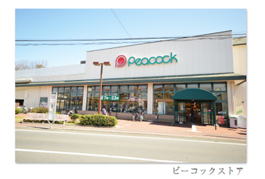 ピーコックストア